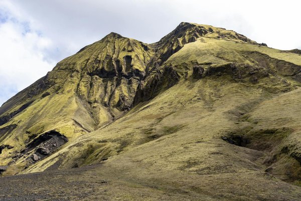 Les tendances surprenantes en santé et bien-être à découvrir