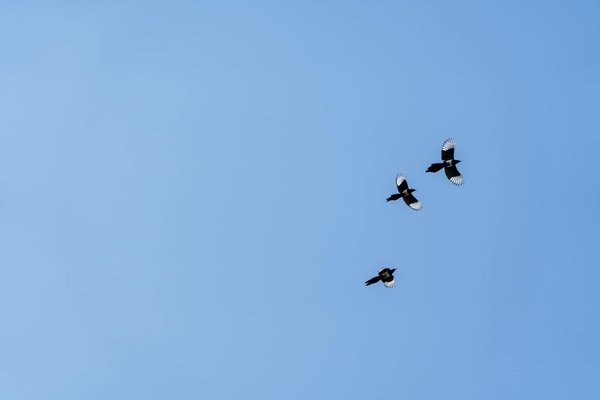 Vaincre l'insomnie : traitements médicaux vs remèdes naturels