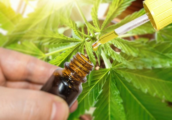 Le cbd bénéfices contre les douleurs chroniques : efficace et naturel